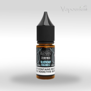 NEW Sadboy Salts- Blueberry Granola