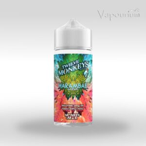 12 Monkeys - Ice Age Harambae 120ml (2x Shot)
